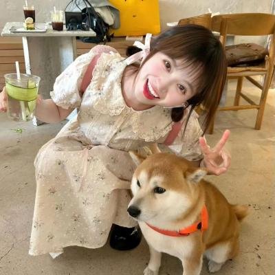 花落花开